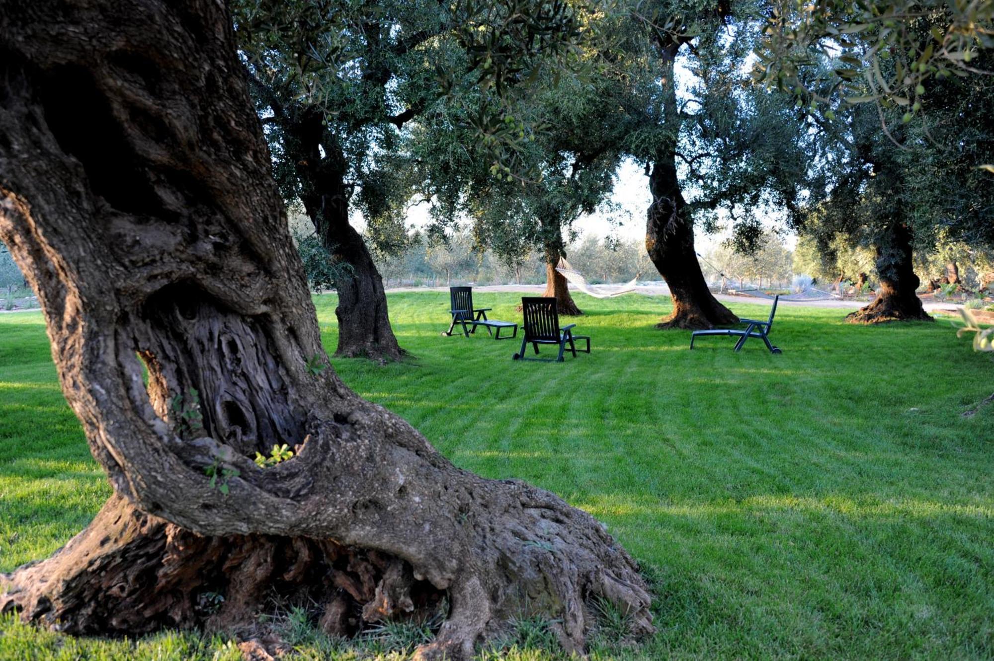 Masseria Lama Di Galizia Ostuni Bagian luar foto