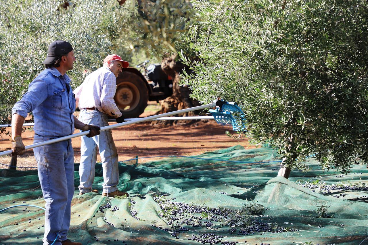 Masseria Lama Di Galizia Ostuni Bagian luar foto