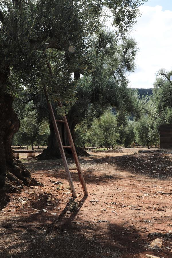 Masseria Lama Di Galizia Ostuni Bagian luar foto